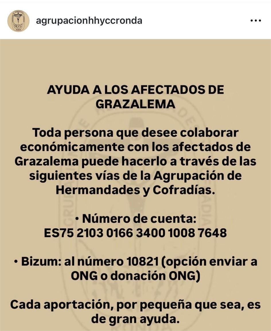 WhatsApp Image 2026-02-09 at 13.16.43